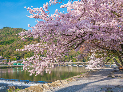 渡月橋