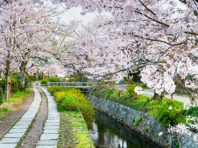 春のおすすめ観光地