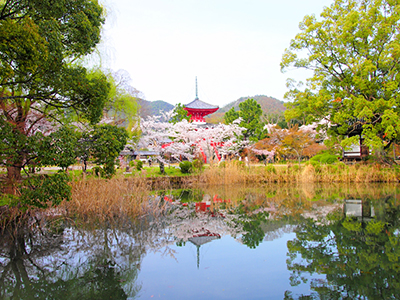 春のおすすめ観光地