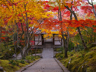 秋のおすすめ観光地