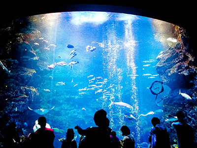 京都水族館
