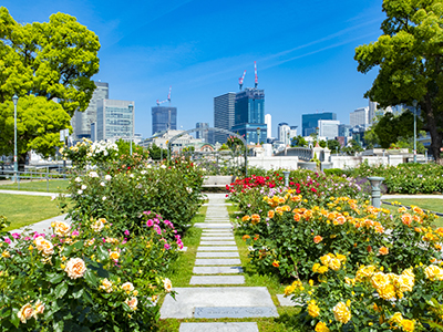 中之島公園