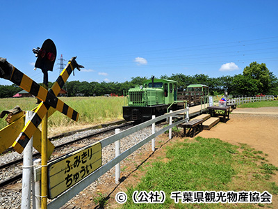 成田ゆめ牧場