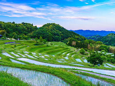 春のおすすめ観光地