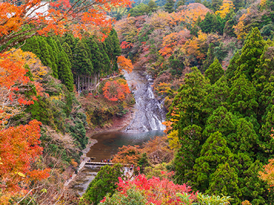 秋のおすすめ観光地