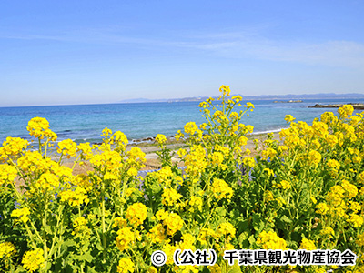 春のおすすめ観光地