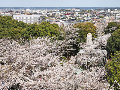 春のおすすめ観光地