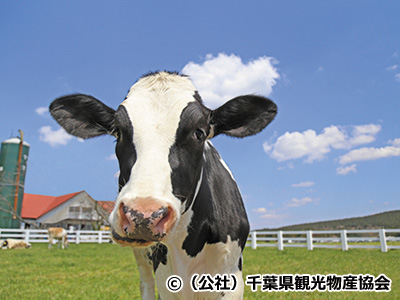 冬のおすすめ観光地
