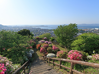 城山公園（館山城）