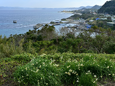 洲埼灯台