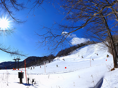 冬のおすすめ観光地