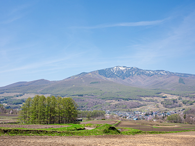春のおすすめ観光地