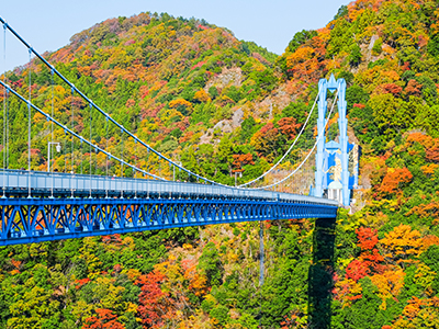 竜神大吊橋