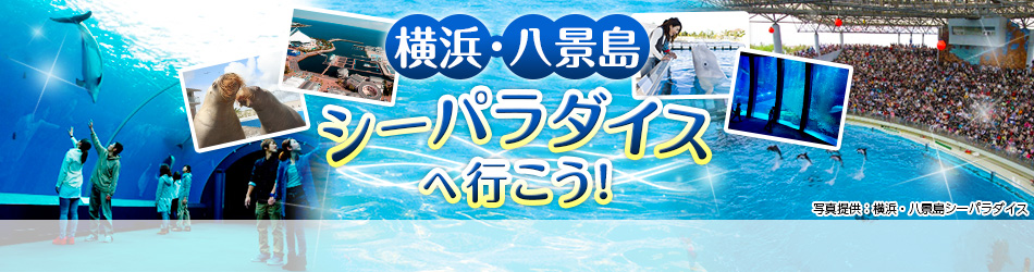 横浜・八景島シーパラダイスへ行こう 