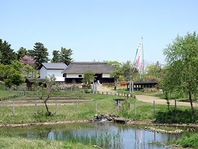 国営昭和記念公園