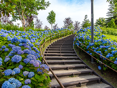 シンボルプロムナード公園