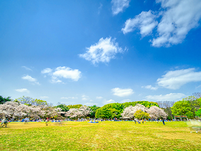 代々木公園
