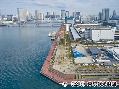 豊洲市場