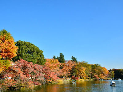 井の頭恩賜公園