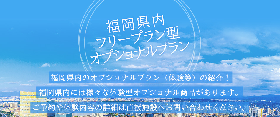 福岡県内フリープラン型オプショナルプラン