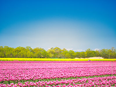 新潟県 胎内市