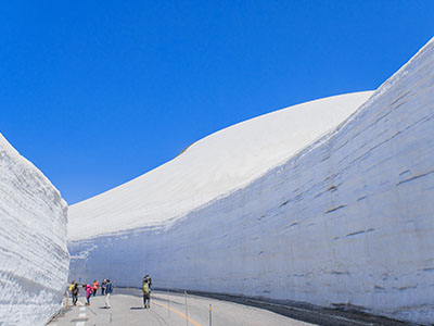 富山県 雪の大谷