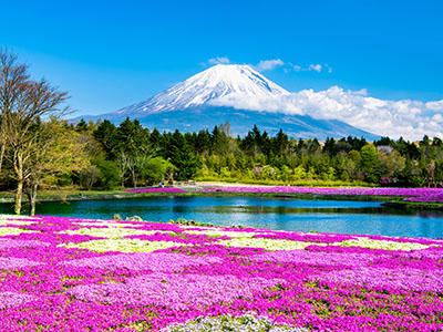 山梨県 富士本栖湖リゾート