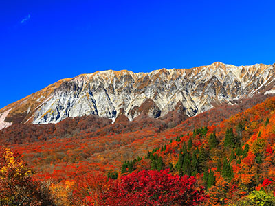 大山の紅葉