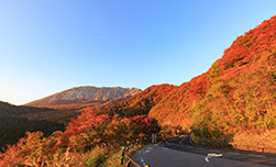 大山(鳥取県)