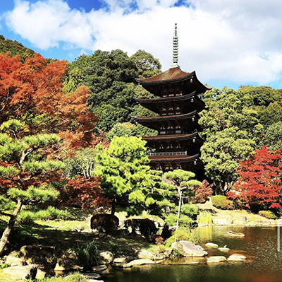 瑠璃光寺の紅葉