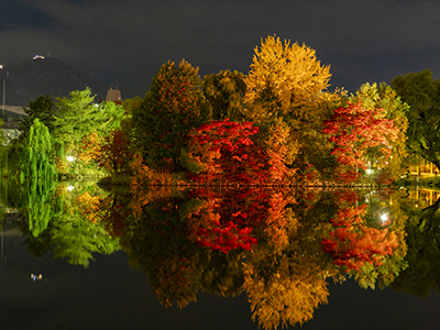 SAPPORO AUTUMN ILLUMINATIONS