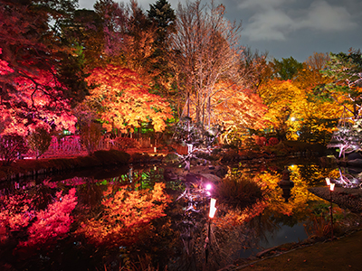 SAPPORO AUTUMN ILLUMINATIONS