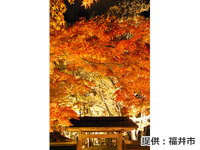 養浩館庭園