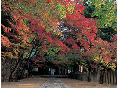 永源寺の紅葉