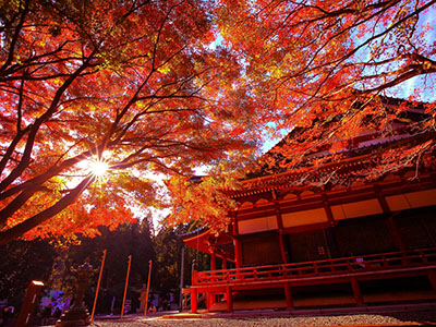 延暦寺の紅葉