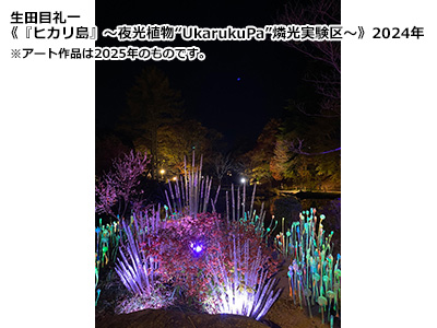 神戸六甲ミーツアート2026(ひかりの森)
