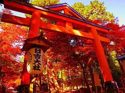 日吉大社の紅葉