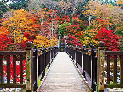 塩原渓谷の紅葉