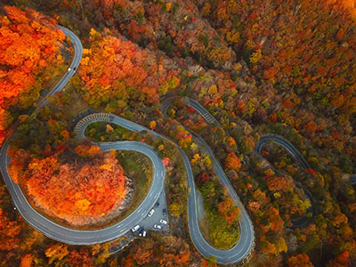 いろは坂の紅葉