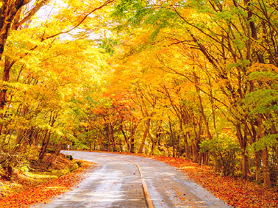 日塩もみじラインの紅葉