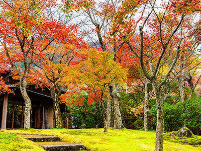 箱根美術館の紅葉