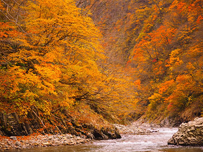 清津峡の紅葉