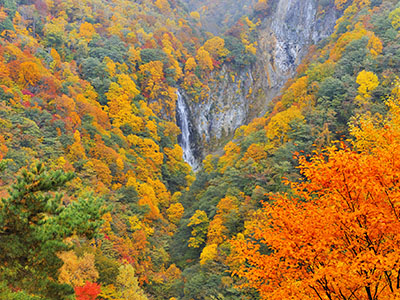 志賀高原の紅葉