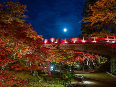 弥彦公園もみじ谷