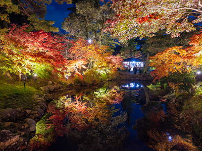 弥彦公園もみじ谷