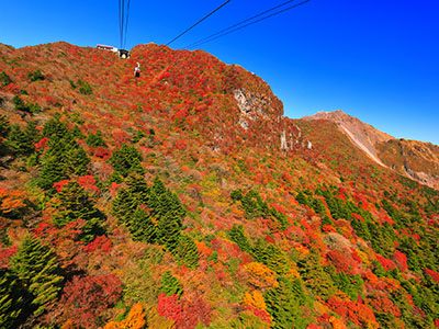 雲仙岳の紅葉