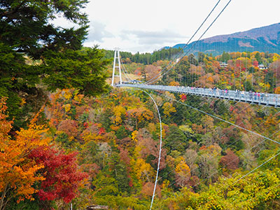 九重夢大吊橋の紅葉