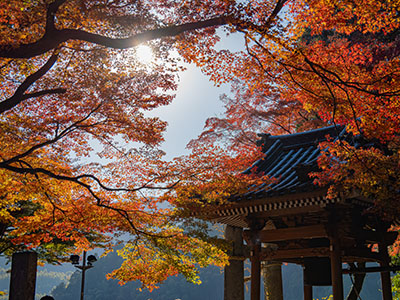 大興善寺の紅葉