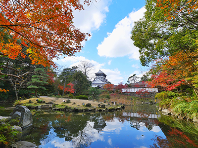 小倉城庭園 レーザーライトアップ