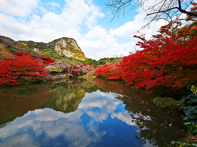 御船山楽園 紅葉ライトアップ